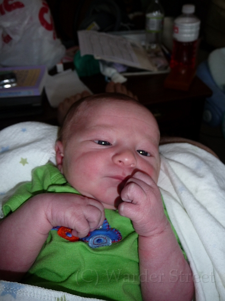 William's First Week 26.jpg